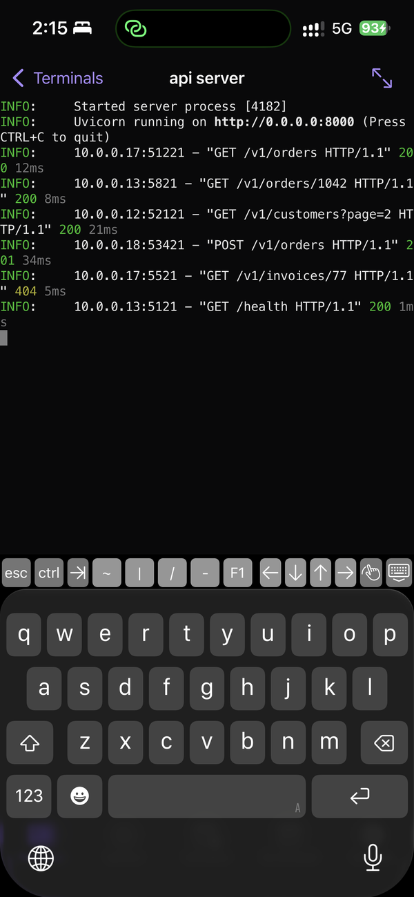 iPhone terminal